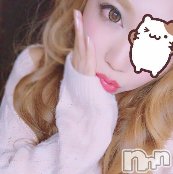 ȯѥ˥󥯥ֿ㥳ѥ˥󥯥Leger-쥸-(쥸)  2019ǯ65̥֥¤ä쥸Ƿޤꡪ˾Τߺҡ