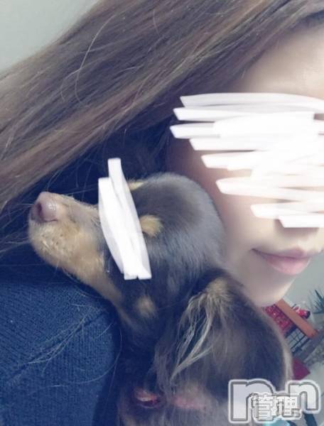 ȯѥ˥󥯥ֿ㥳ѥ˥󥯥Leger-쥸-(쥸)  2019ǯ1114̥֥֤ͽ仿դäԤƤޤ