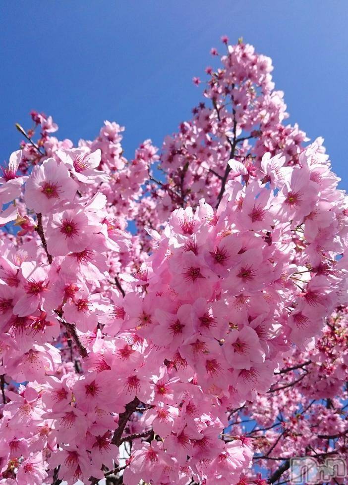 飯田デリヘルFive 飯田店(ファイブイイダテン) ナツキ(36)の4月18日写メブログ「こんにちはo(*⌒―⌒*)o」