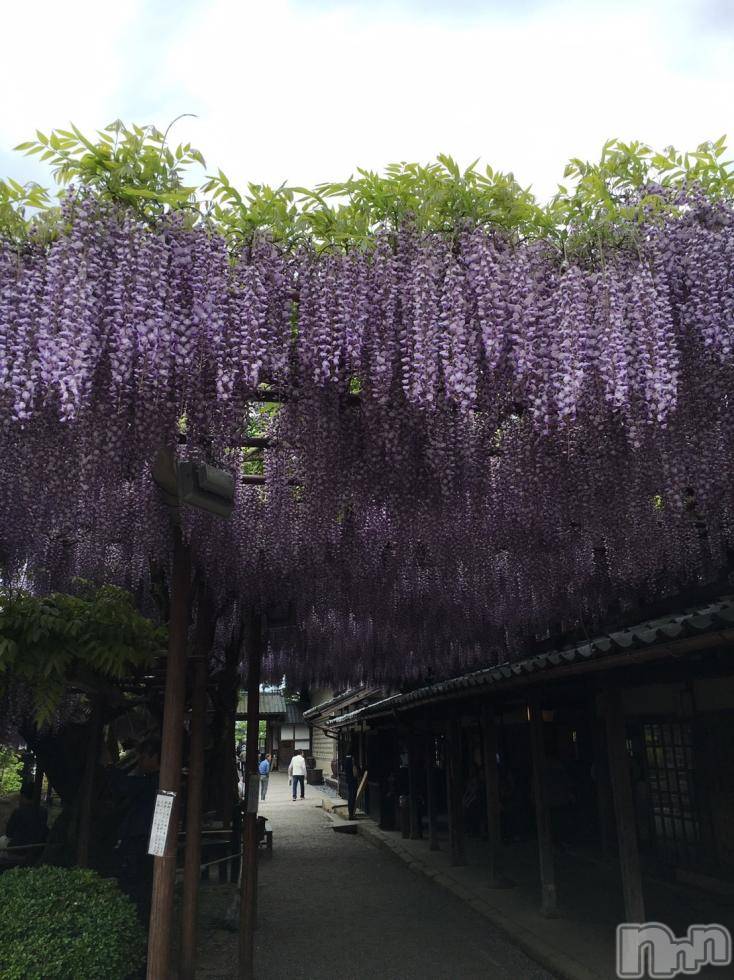 飯田デリヘルFive 飯田店(ファイブイイダテン)ナツキ(36)の2017年4月1日写メブログ「もう一度テストです」
