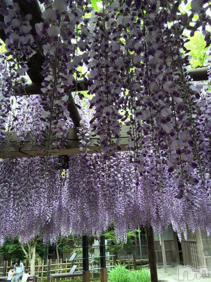 飯田デリヘルFive 飯田店(ファイブイイダテン)ナツキ(36)の2017年4月3日写メブログ「また違うアングル」