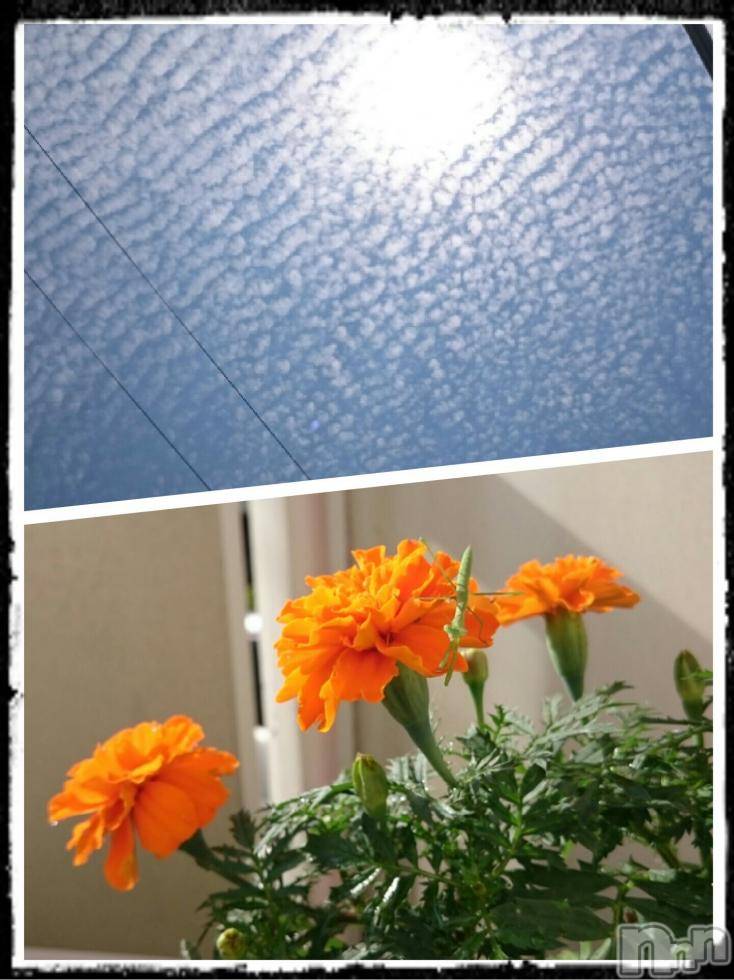 飯田デリヘルFive 飯田店(ファイブイイダテン)ナツキ(36)の2017年7月3日写メブログ「おはようございます☆」