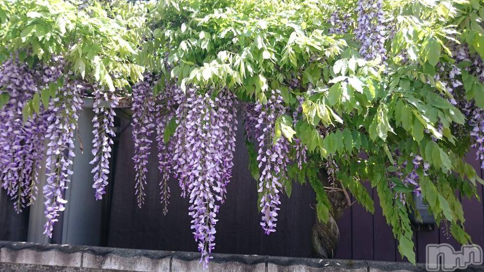 飯田デリヘルFive 飯田店(ファイブイイダテン)ナツキ(36)の2018年4月26日写メブログ「♪v(*'-^*)^☆」