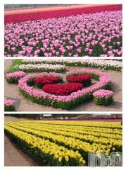 飯田デリヘルFive 飯田店(ファイブイイダテン) ナツキ(36)の5月14日写メブログ「おはようございます」