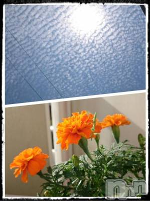 飯田デリヘル Five 飯田店(ファイブイイダテン) ナツキ(36)の7月3日写メブログ「おはようございます☆」