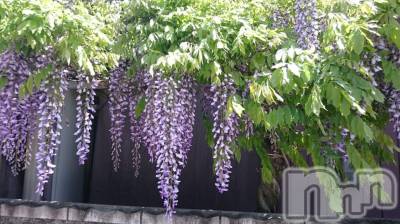 飯田デリヘル Five 飯田店(ファイブイイダテン) ナツキ(36)の4月26日写メブログ「♪v(*'-^*)^☆」