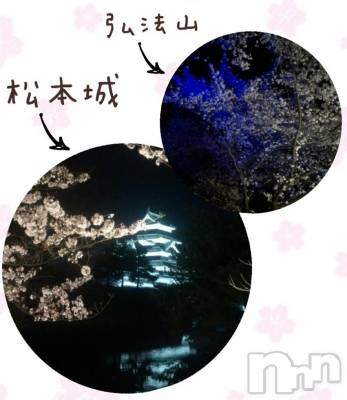 松本発デリヘル ポチャ女子(ポチャジョシ) りょうお姉さん(29)の4月14日写メブログ「夜桜( ´ ▽ ` )ﾉ」
