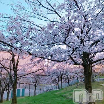 新潟ソープスチュワーデスたまき(27)の2024年4月21日写メブログ「次回の出勤です」