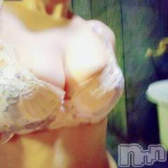 新潟ソープスチュワーデス たまき(27)の4月24日写メブログ「出勤しました」
