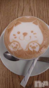 新潟ソープ スチュワーデス たまき(27)の8月24日写メブログ「お知らせです」