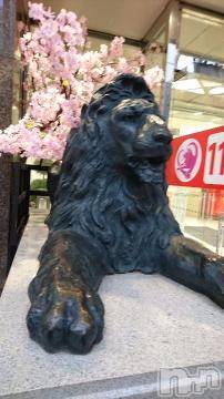 新潟ソープ スチュワーデス たまき(27)の3月22日写メブログ「三月のライオン」