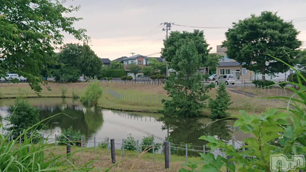 長岡人妻デリヘル人妻楼　長岡店(ヒトヅマロウ　ナガオカテン) なな(43)の6月16日写メブログ「わたしの血液型」