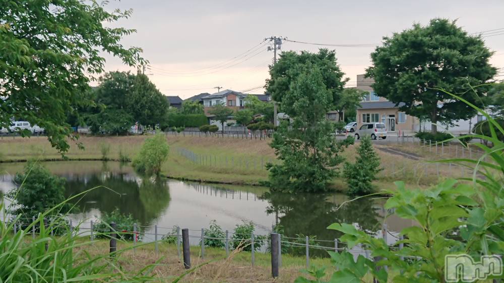 長岡人妻デリヘル人妻楼　長岡店(ヒトヅマロウ　ナガオカテン) なな(38)の6月16日写メブログ「わたしの血液型」