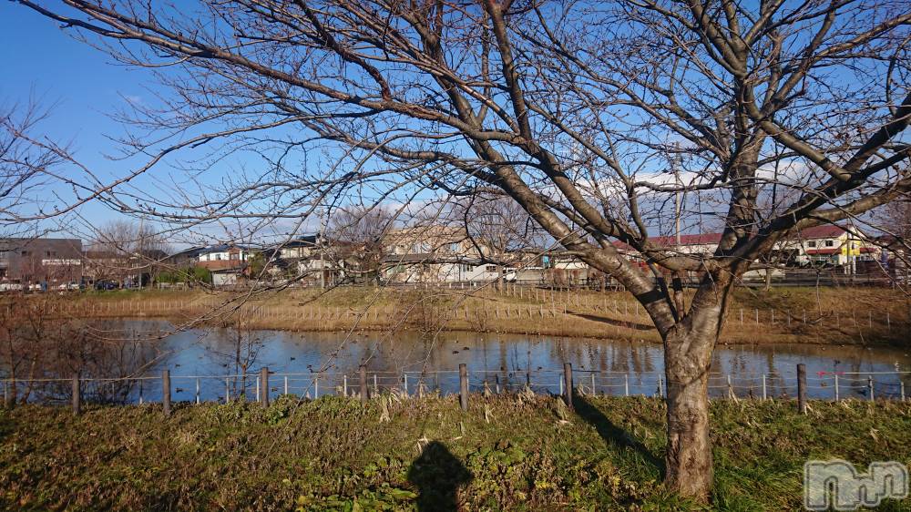 長岡人妻デリヘル人妻楼　長岡店(ヒトヅマロウ　ナガオカテン) なな(38)の1月11日写メブログ「嘘です！」