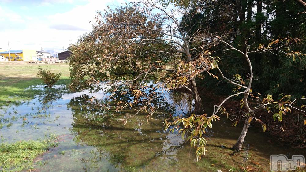 長岡デリヘル人妻楼　長岡店(ヒトヅマロウ　ナガオカテン) なな(43)の12月2日写メブログ「連日の☔でこんな」