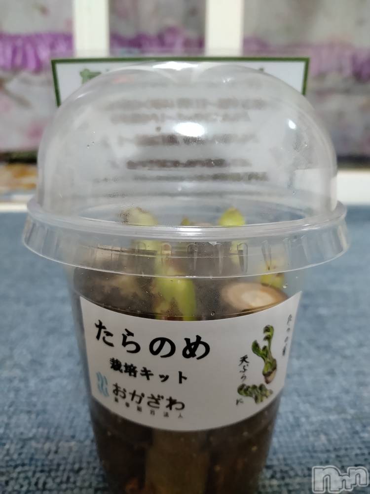 長岡デリヘル人妻楼　長岡店(ヒトヅマロウ　ナガオカテン) なな(43)の2月23日写メブログ「こんなのが！！」