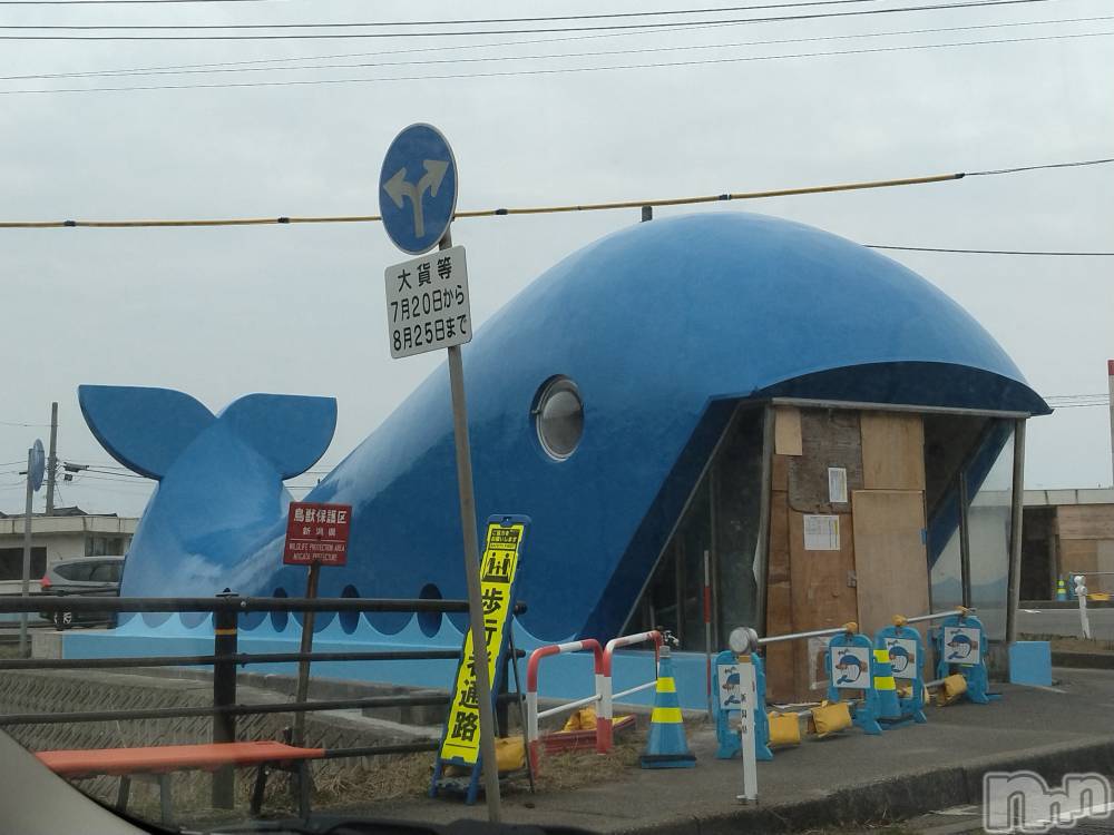 長岡デリヘル人妻楼　長岡店(ヒトヅマロウ　ナガオカテン) なな(43)の3月17日写メブログ「鯨波のクジラちゃんが！」