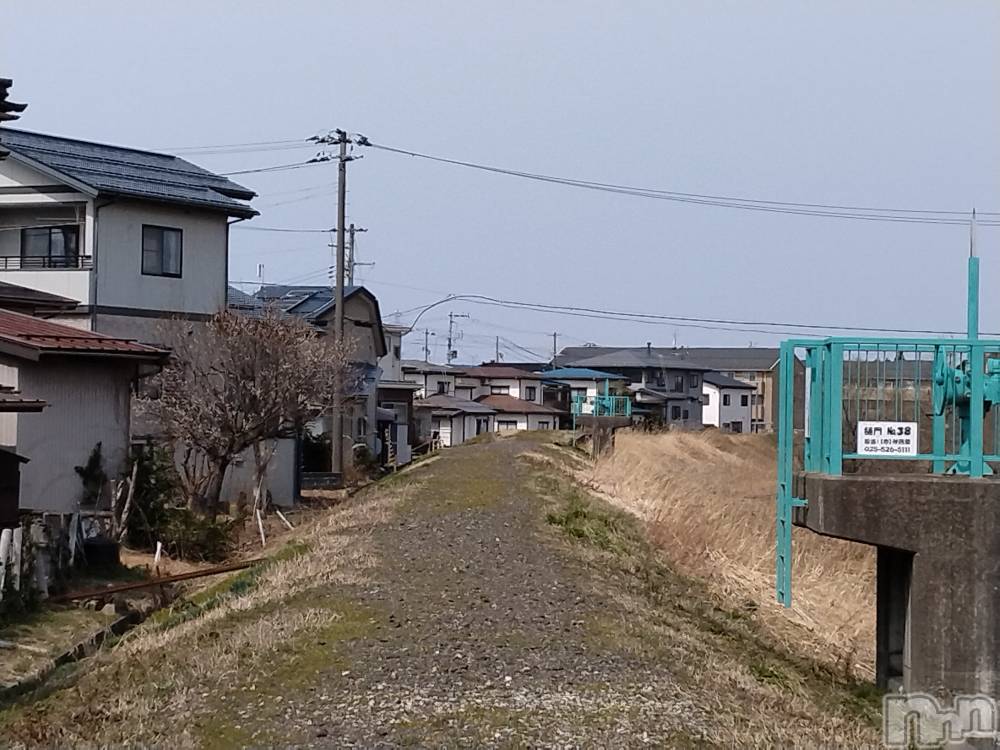 長岡人妻デリヘル人妻楼　長岡店(ヒトヅマロウ　ナガオカテン) なな(38)の3月23日写メブログ「八号線へ続く道」