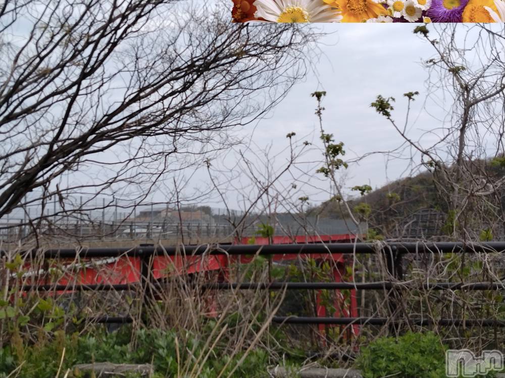 長岡人妻デリヘル人妻楼　長岡店(ヒトヅマロウ　ナガオカテン) なな(43)の4月24日写メブログ「凄いね😯！！」