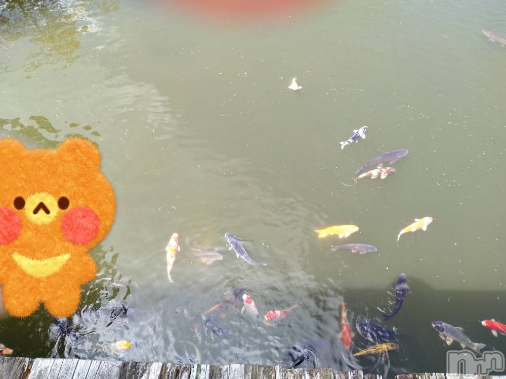 長岡人妻デリヘル人妻楼　長岡店(ヒトヅマロウ　ナガオカテン) なな(43)の4月25日写メブログ「池を除いたら！」