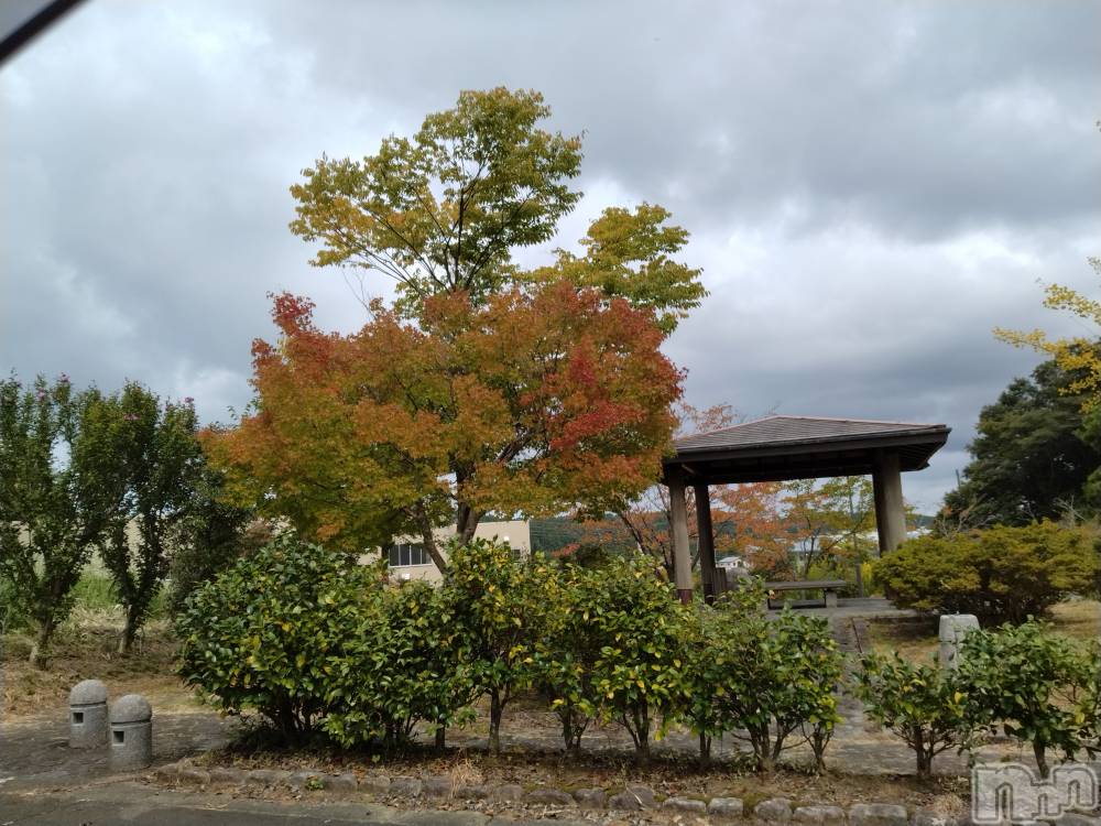 長岡デリヘル人妻楼　長岡店(ヒトヅマロウ　ナガオカテン) なな(43)の9月28日写メブログ「西山インター付近」