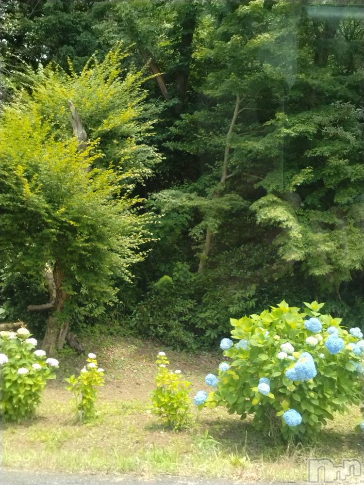 長岡デリヘル人妻楼　長岡店(ヒトヅマロウ　ナガオカテン) なな(43)の6月17日写メブログ「柏崎の」