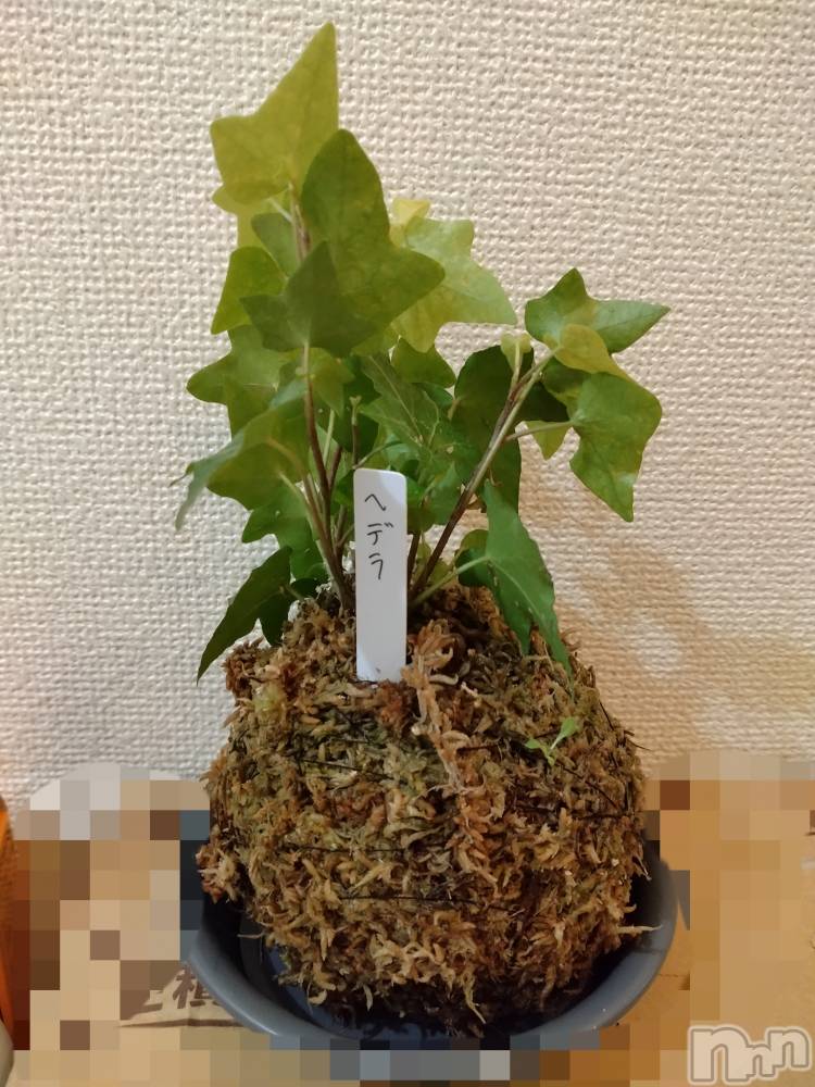 長岡デリヘル人妻楼　長岡店(ヒトヅマロウ　ナガオカテン) なな(43)の8月29日写メブログ「苔玉」