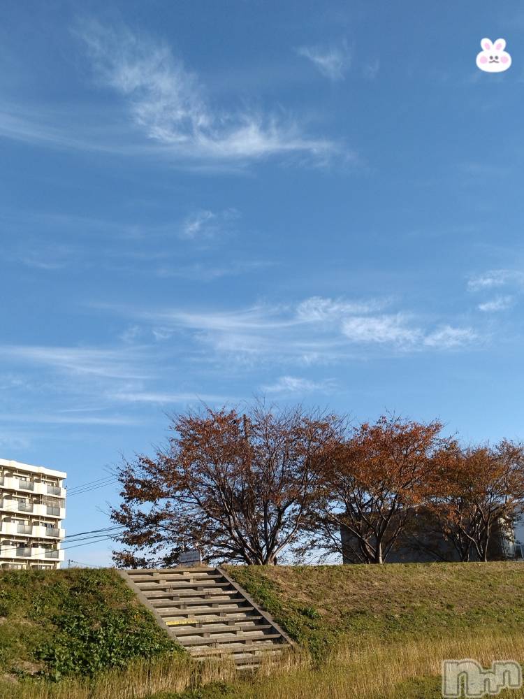 長岡デリヘル人妻楼　長岡店(ヒトヅマロウ　ナガオカテン) なな(43)の11月16日写メブログ「今日は沢山の人が」