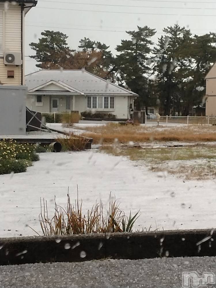 長岡デリヘル人妻楼　長岡店(ヒトヅマロウ　ナガオカテン) なな(43)の11月19日写メブログ「近所の8号線が」