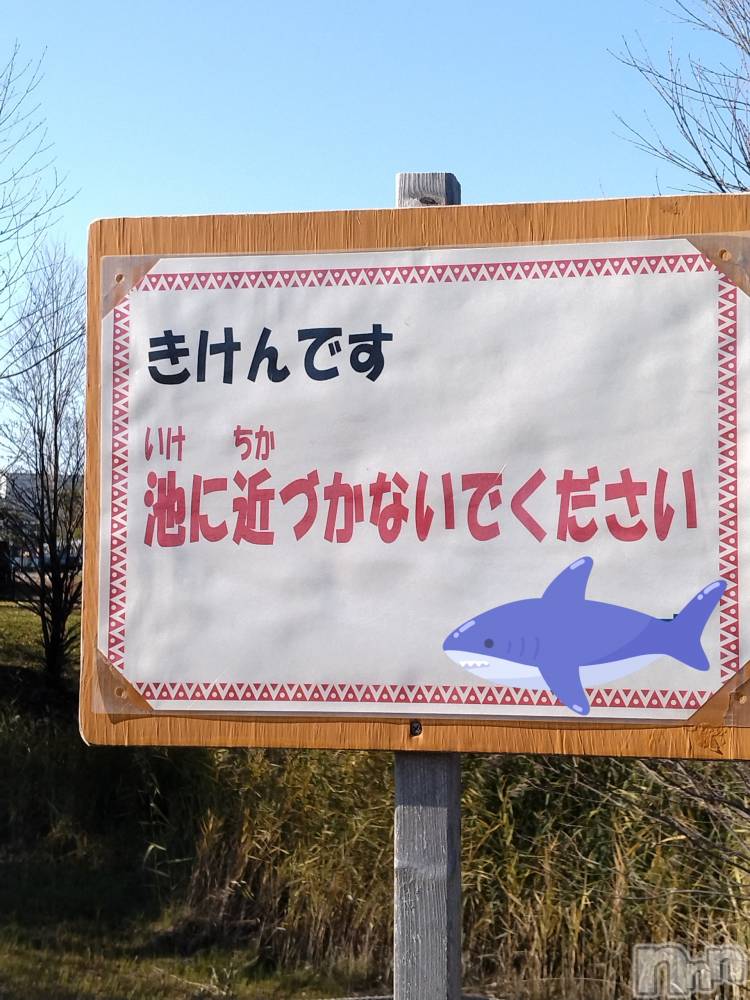 長岡デリヘル人妻楼　長岡店(ヒトヅマロウ　ナガオカテン) なな(43)の12月17日写メブログ「池に近づくと。。」
