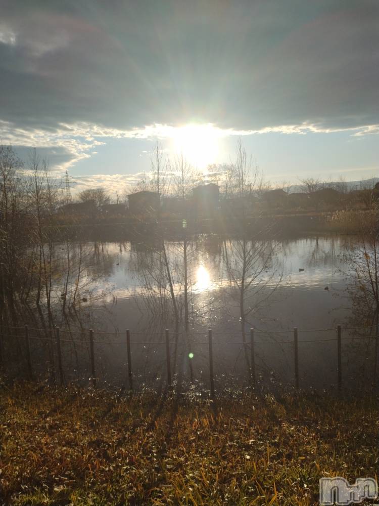 長岡デリヘル人妻楼　長岡店(ヒトヅマロウ　ナガオカテン) なな(43)の12月21日写メブログ「半分私は」