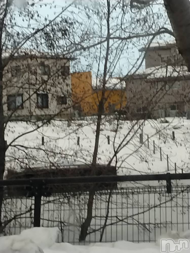 長岡デリヘル人妻楼　長岡店(ヒトヅマロウ　ナガオカテン) なな(43)の1月9日写メブログ「近所の池だけど」