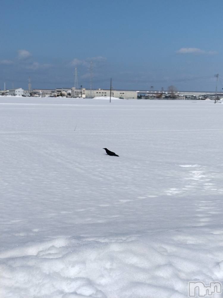 長岡デリヘル人妻楼　長岡店(ヒトヅマロウ　ナガオカテン) なな(43)の2月12日写メブログ「一体何があったのか❓️」