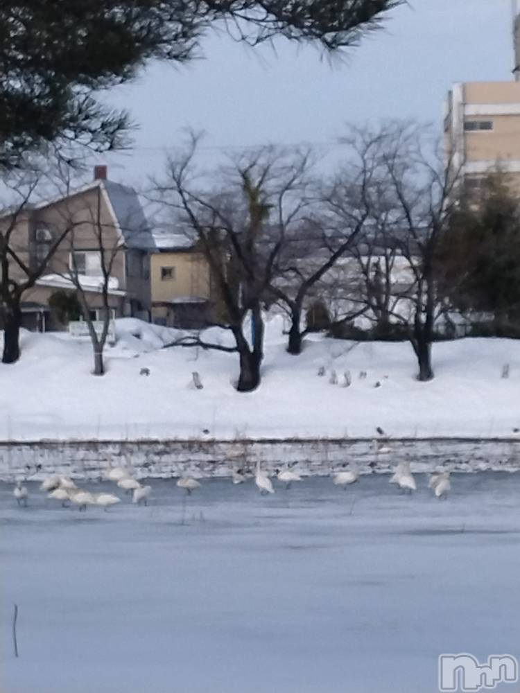 長岡デリヘル人妻楼　長岡店(ヒトヅマロウ　ナガオカテン) なな(43)の2月14日写メブログ「ここに居ました！」