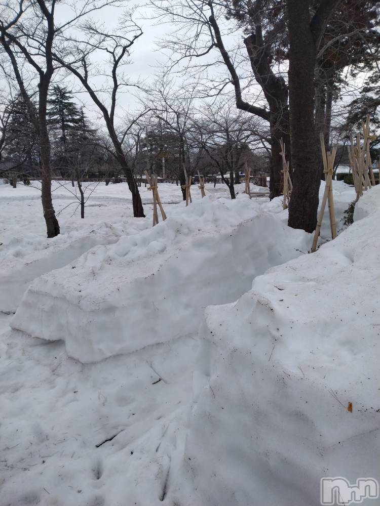長岡デリヘル人妻楼　長岡店(ヒトヅマロウ　ナガオカテン) なな(43)の2月28日写メブログ「まだ⛄️が」