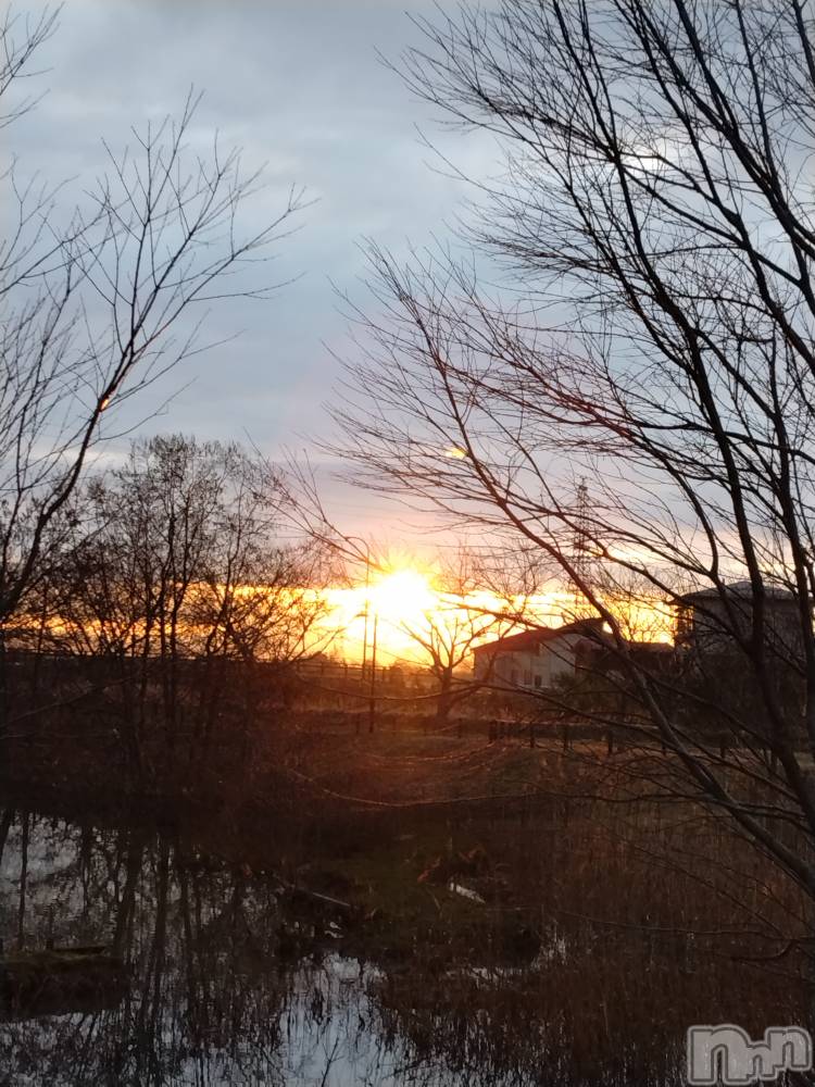 長岡デリヘル人妻楼　長岡店(ヒトヅマロウ　ナガオカテン) なな(43)の3月12日写メブログ「この後携帯が！」