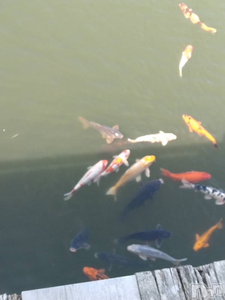 長岡デリヘル人妻楼　長岡店(ヒトヅマロウ　ナガオカテン) なな(43)の3月26日写メブログ「小千谷市の」