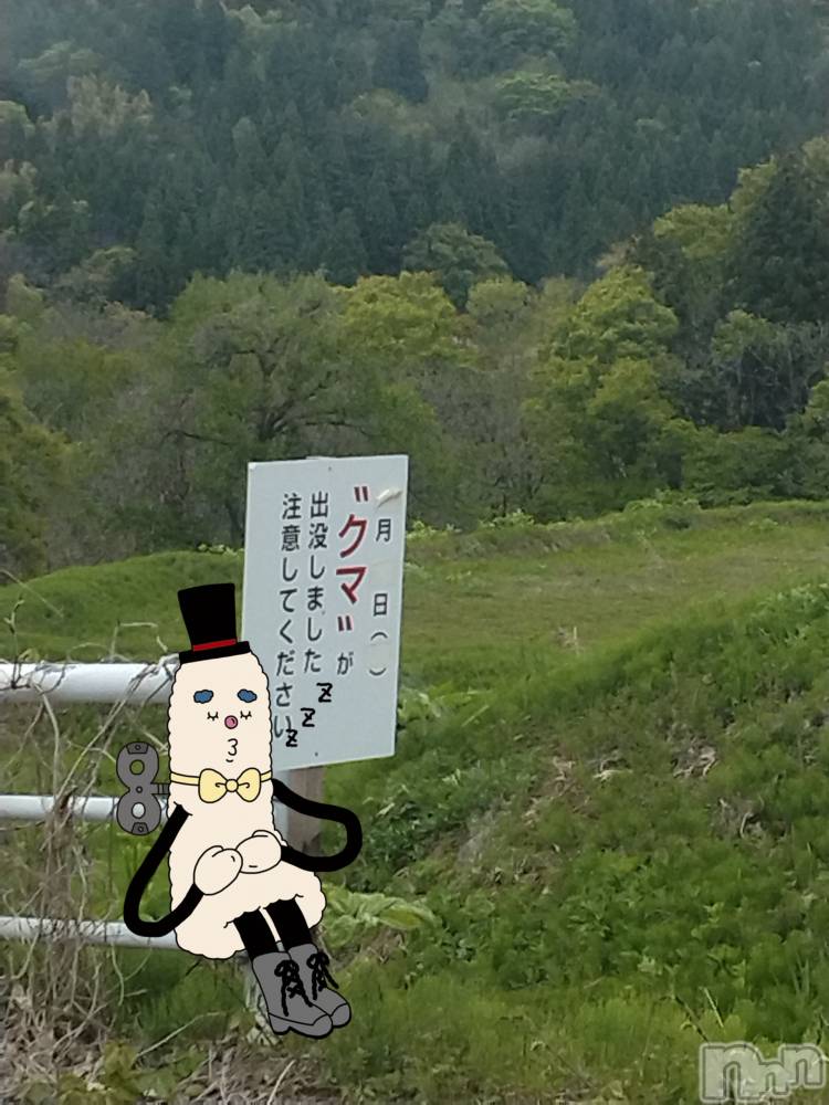 長岡デリヘル人妻楼　長岡店(ヒトヅマロウ　ナガオカテン) なな(43)の5月2日写メブログ「熊が出る？🐻」