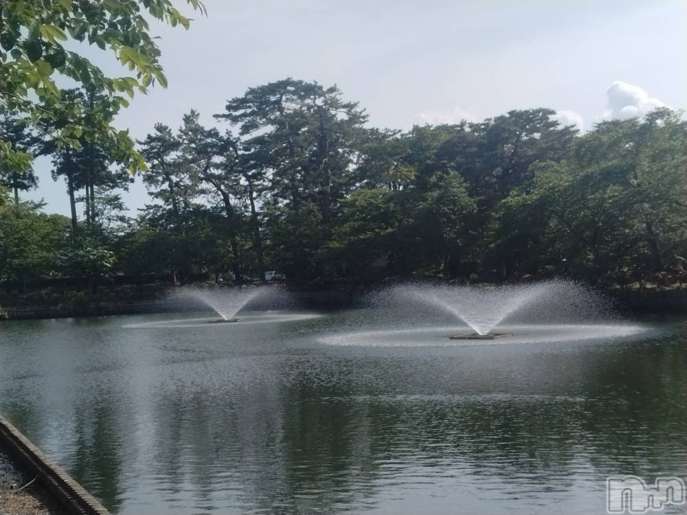 長岡デリヘル人妻楼　長岡店(ヒトヅマロウ　ナガオカテン) なな(43)の6月14日写メブログ「「石か❓️」と思いきや」