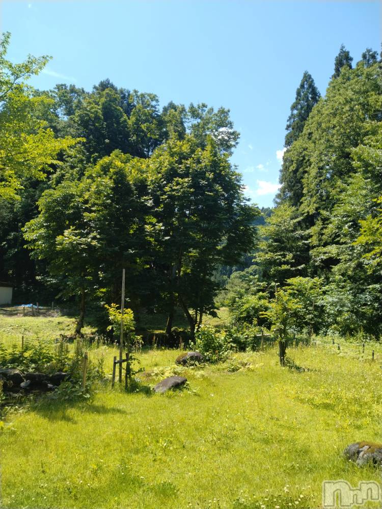 長岡デリヘル人妻楼　長岡店(ヒトヅマロウ　ナガオカテン) なな(43)の6月14日写メブログ「ドアを空けたら…」