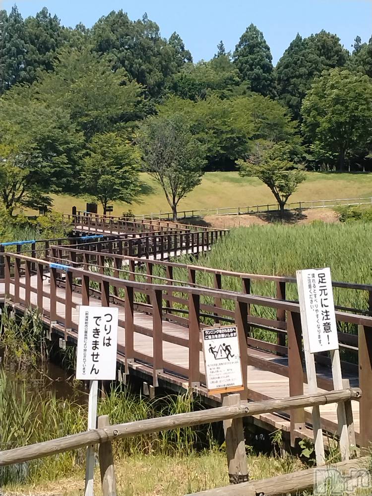 長岡デリヘル人妻楼　長岡店(ヒトヅマロウ　ナガオカテン) なな(43)の6月18日写メブログ「今日公園内で」