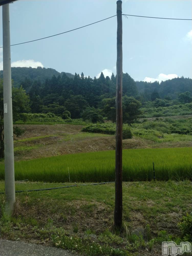 長岡デリヘル人妻楼　長岡店(ヒトヅマロウ　ナガオカテン) なな(43)の7月21日写メブログ「今日スーパーで！！」
