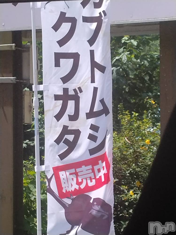 長岡デリヘル人妻楼　長岡店(ヒトヅマロウ　ナガオカテン) なな(43)の8月6日写メブログ「これ道の駅に…」