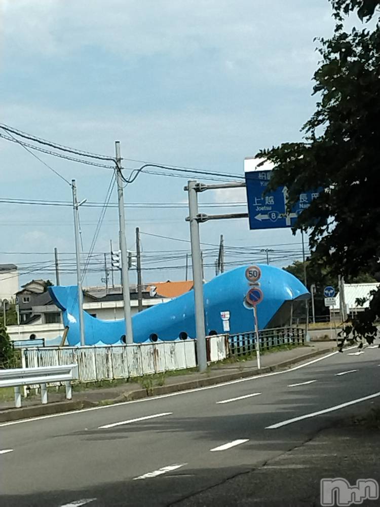長岡デリヘル人妻楼　長岡店(ヒトヅマロウ　ナガオカテン) なな(43)の8月19日写メブログ「通行止め」