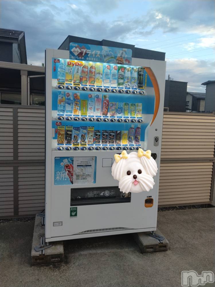 長岡デリヘル人妻楼　長岡店(ヒトヅマロウ　ナガオカテン) なな(43)の8月23日写メブログ「自販機」
