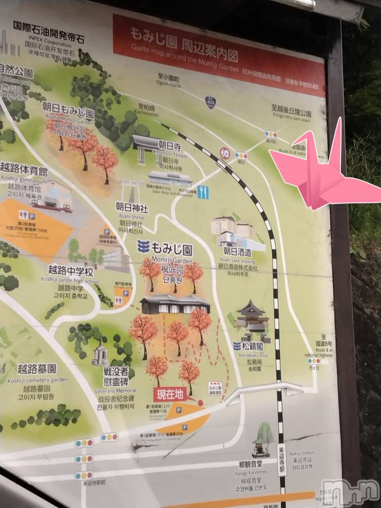 長岡デリヘル人妻楼　長岡店(ヒトヅマロウ　ナガオカテン) なな(43)の9月29日写メブログ「越路」