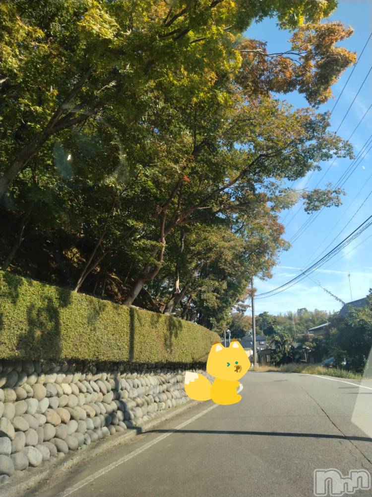 長岡デリヘル人妻楼　長岡店(ヒトヅマロウ　ナガオカテン) なな(43)の10月12日写メブログ「赤坂山」