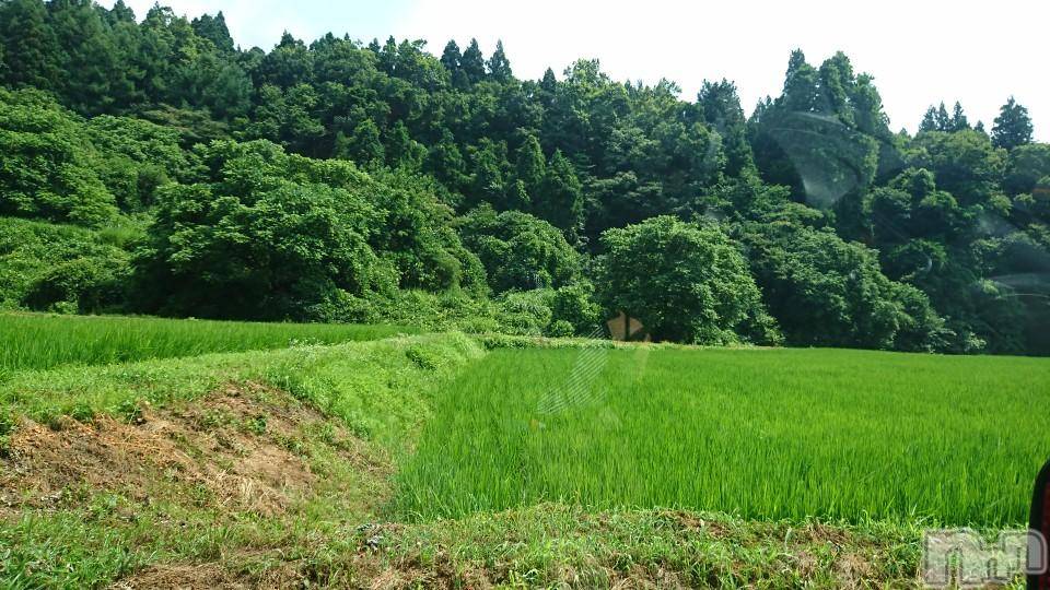 長岡人妻デリヘル人妻楼　長岡店(ヒトヅマロウ　ナガオカテン) なな(38)の7月21日写メブログ「スクープ！あの現場は今・(笑)・」