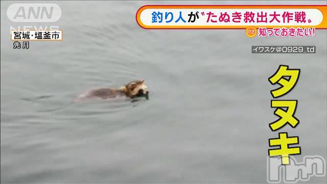 長岡デリヘル人妻楼　長岡店(ヒトヅマロウ　ナガオカテン) なな(43)の4月9日写メブログ「海の中に居たもの」
