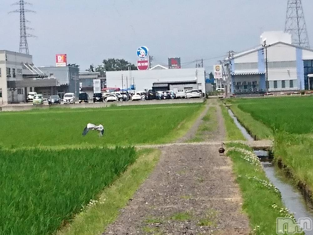 長岡人妻デリヘル人妻楼　長岡店(ヒトヅマロウ　ナガオカテン) なな(38)の6月28日写メブログ「これまた・・」